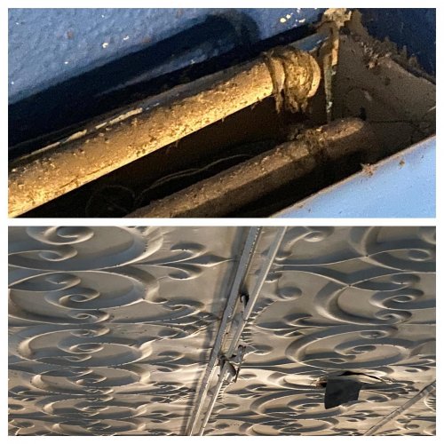 Photo post from teatro_carmen.