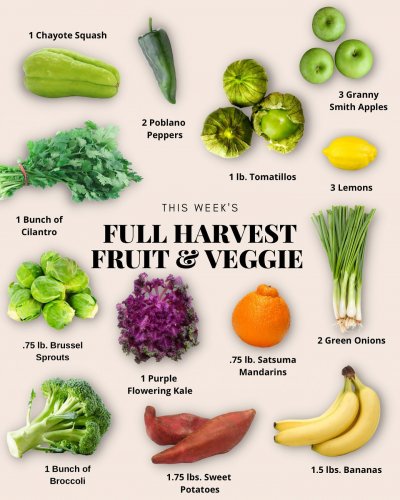 Photo post from farmbox_arizona.