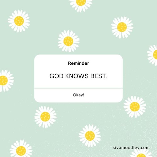 Photo post from drsivamm.