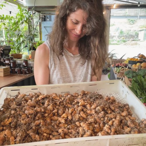 Photo post from currumbinvalleyharvest.