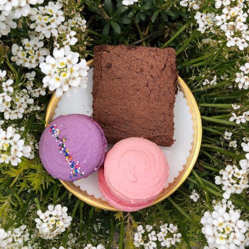 Photo post from equianocoffee.