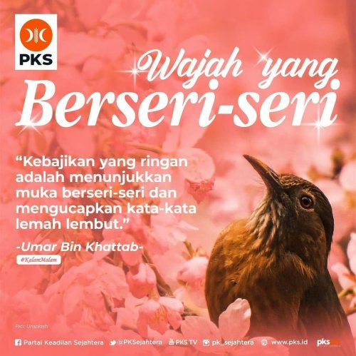 PostPhoto