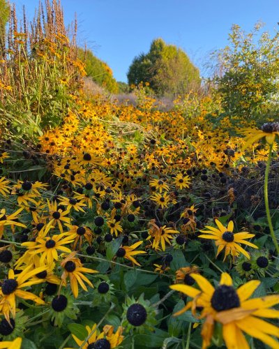 Photo post from sussexprairies.