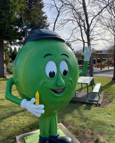 Photo post from oldyellamustard.