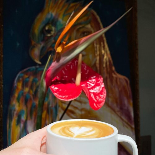 Photo post from equianocoffee.