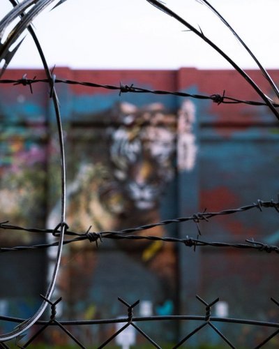 Photo post from livepdxofficial.