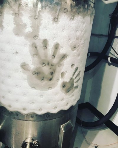 Photo post from northlandbrew.