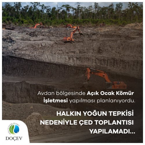 Photo post from dogavecevrevakfi.
