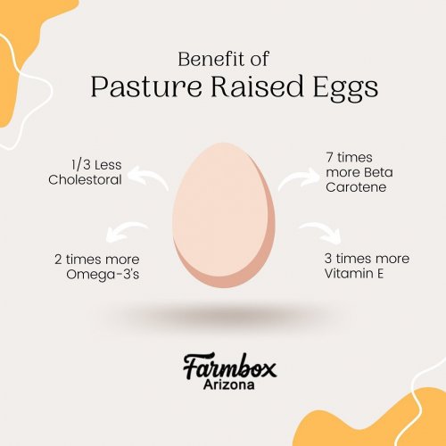 Photo post from farmbox_arizona.