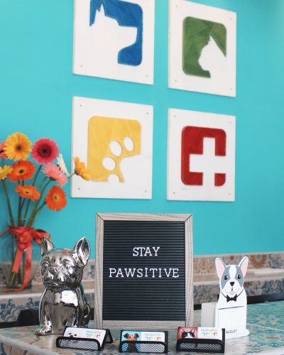 Photo post from medicalpettj.