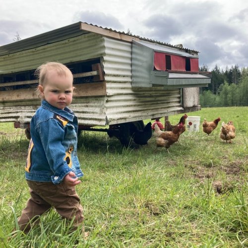 Photo post from hungryhollowfarm.