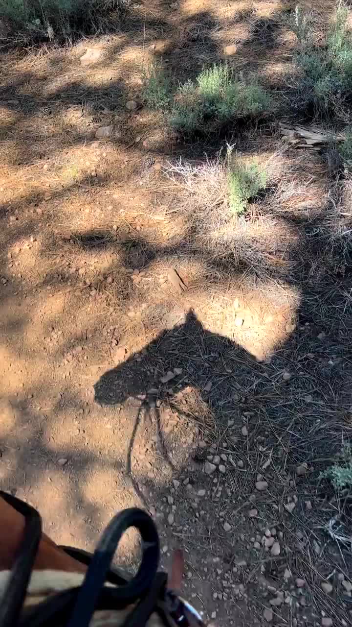 Video post from __amber_lydic__.