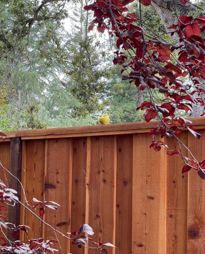 Carousel post from jlythcotthaims.