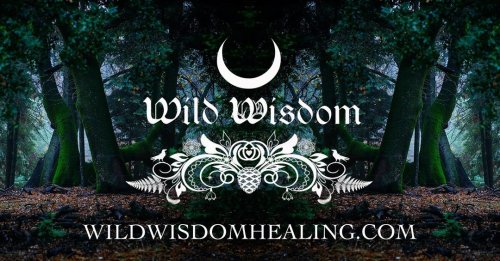 Photo post from wildwitchesmagic.