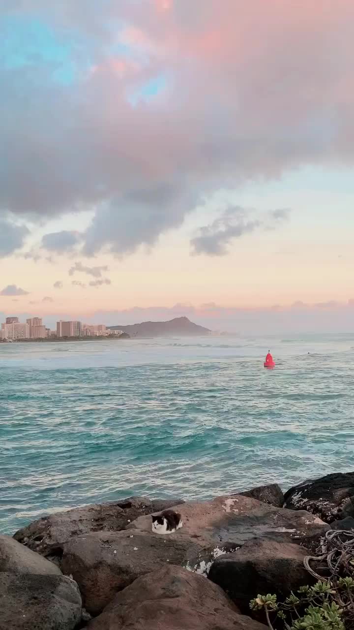 Video post from kupunacarehawaii.