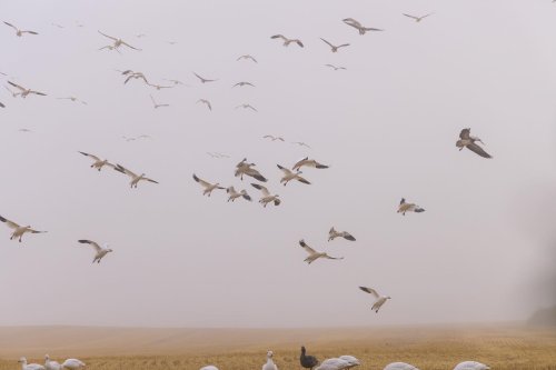 Photo post from northernskiesoutfitters.