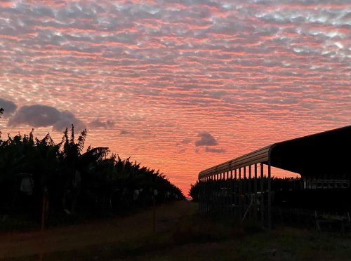 Photo post from howefarming.