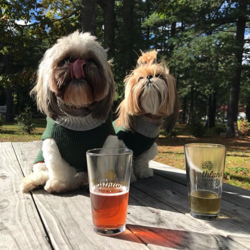 Carousel post from northlandbrew.