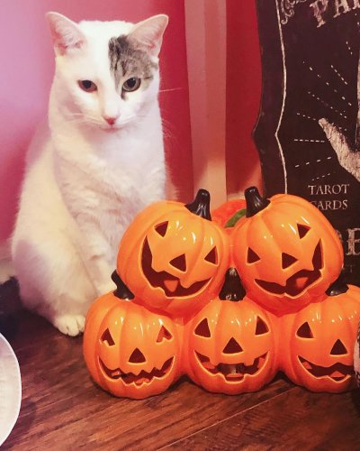 Photo post from margaritabloom.