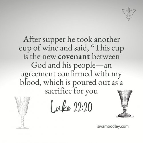 Photo post from drsivamm.