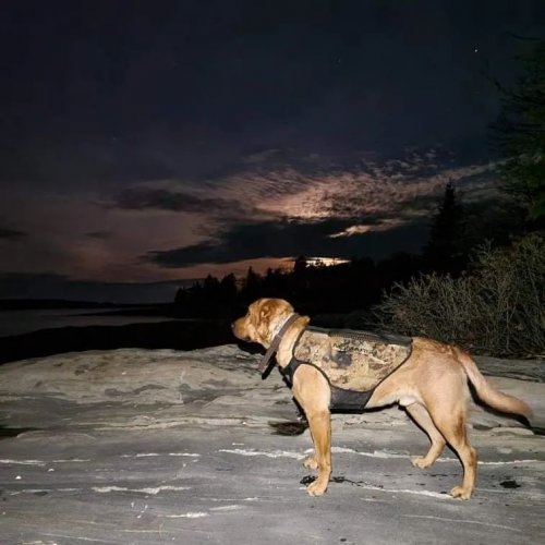 Carousel post from reddogguideservice.