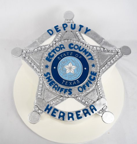 Photo post from marquettescakestudio.