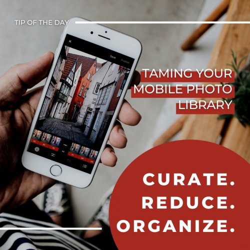 Photo post from cardinalcamera1937.
