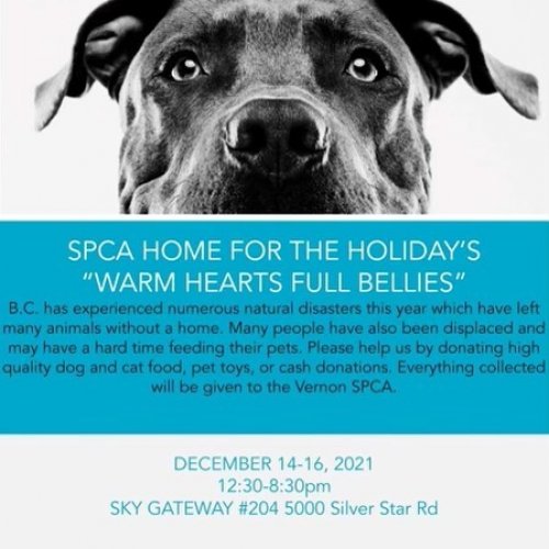 Photo post from beyondsportinsta.