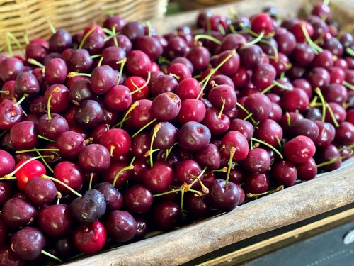 Photo post from currumbinvalleyharvest.