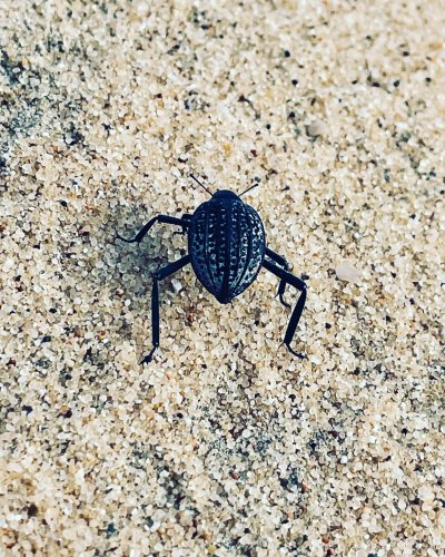 Photo post from duneriderstourism.