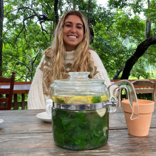 Photo post from currumbinvalleyharvest.