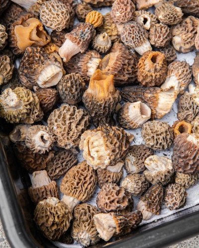 Photo post from thepdxtoday.