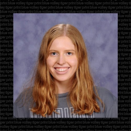 Photo post from bvtigernews.