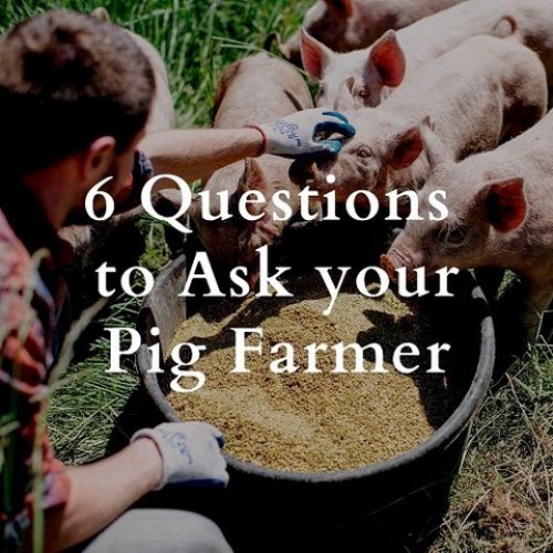 Photo post from hungryhollowfarm.