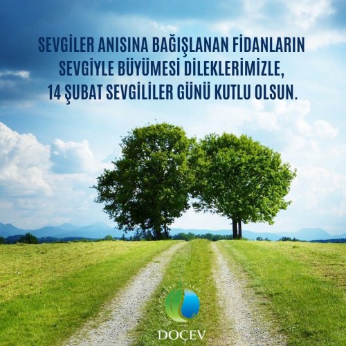 Photo post from dogavecevrevakfi.