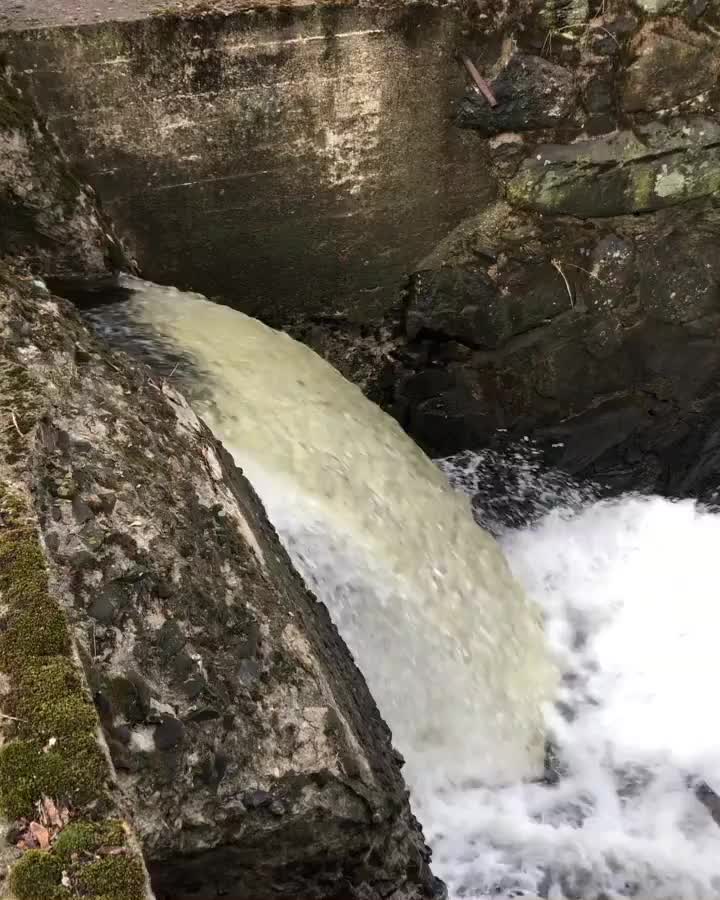 Video post from wisdomroofingusa.