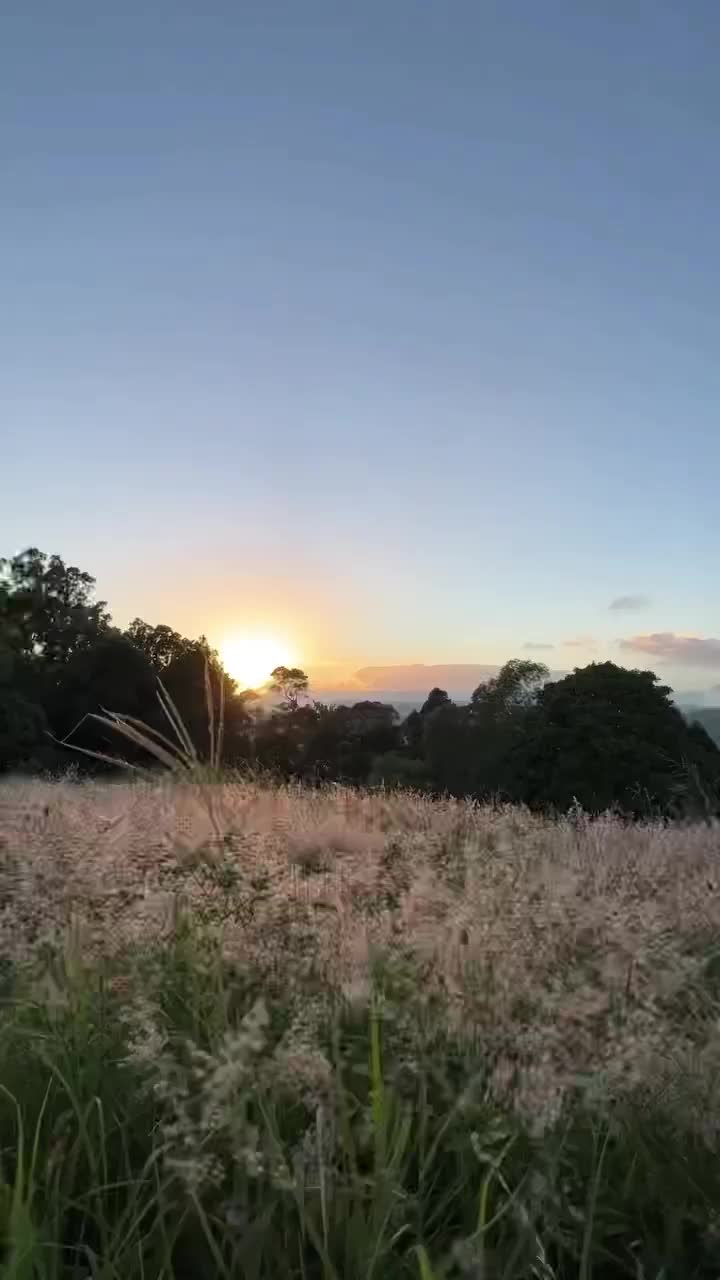 Video post from in2thewild.aus.