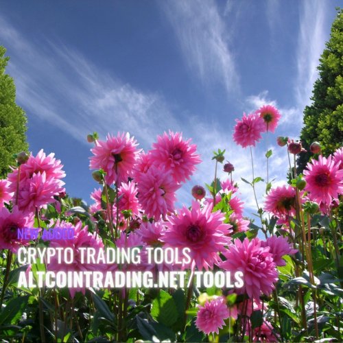 Photo post from bfx.referral.code.