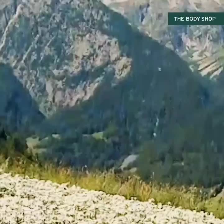 Video post from acropolismall.