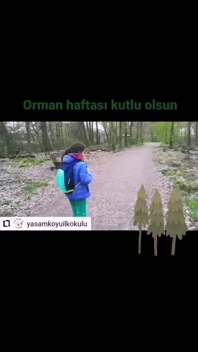Video post from tobycomtr.