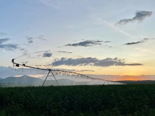 Photo post from howefarming.