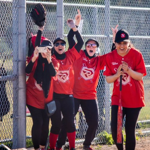 Photo post from sisterhoodsoftball.