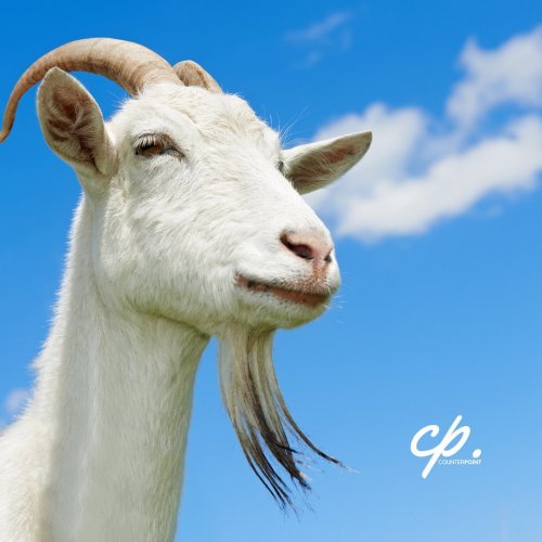 Photo post from counterpoint_digital.