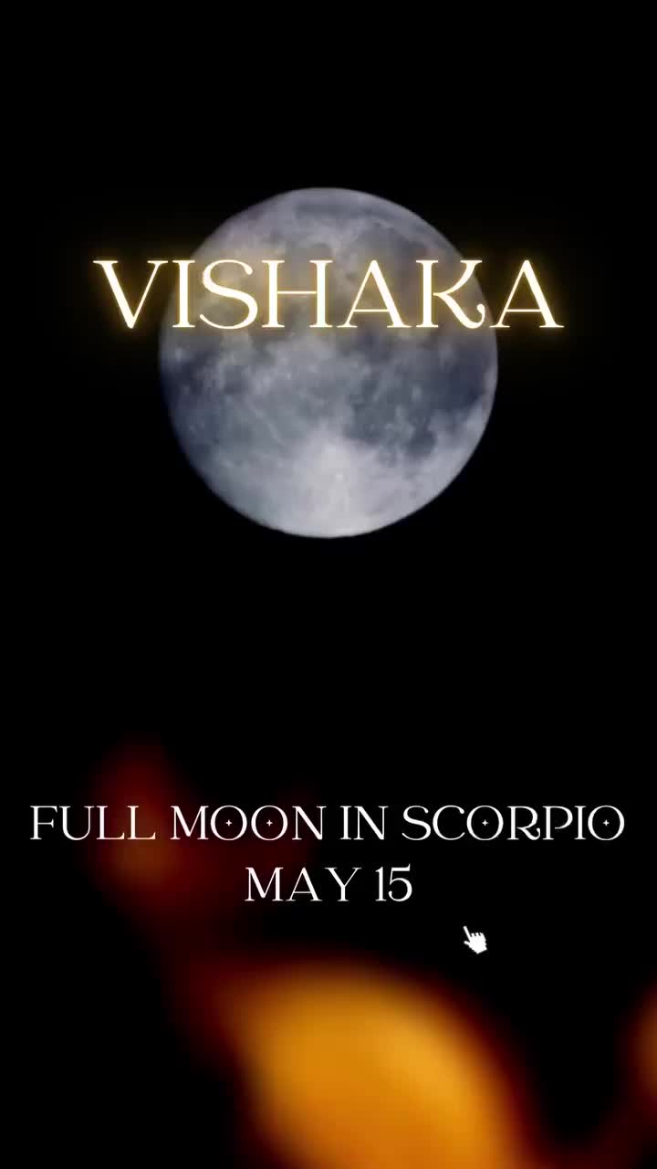 Video post from emilylglaser.