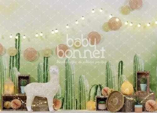 Photo post from babybonnet_backdrops.