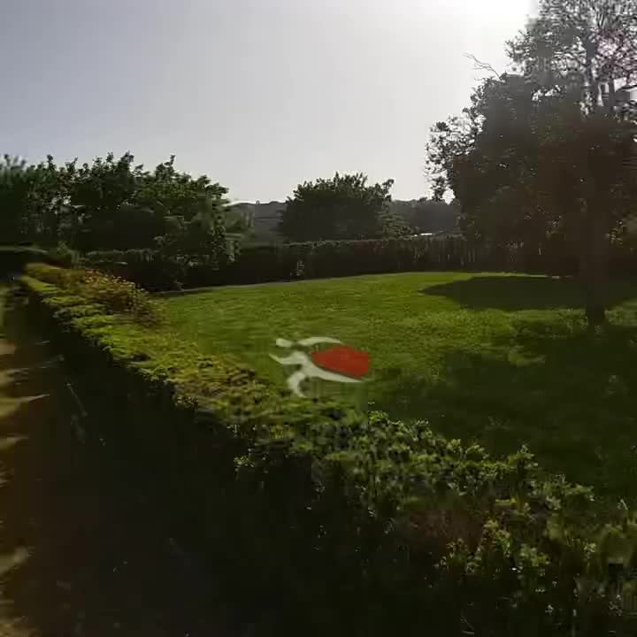Video post from portorunningtours.