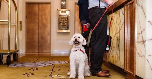 Photo post from hotel_deluxe.