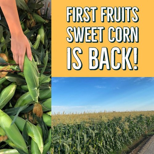 Photo post from visaliafarmersmarket.