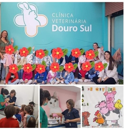 Photo post from clinica_veterinaria_dourosul.
