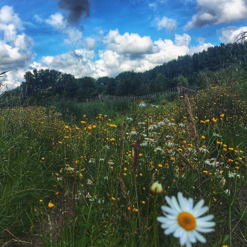 Photo post from visitoirschot.